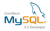 logo Mysql Developper